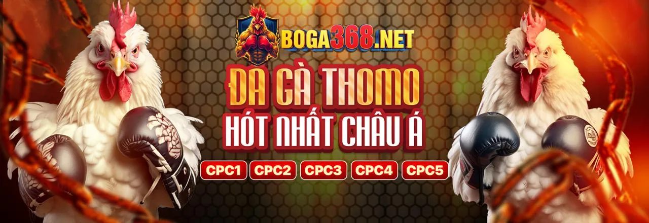 Đá Gà Trực Tuyến df999