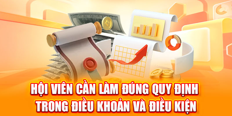 điều khoản và điều kiện