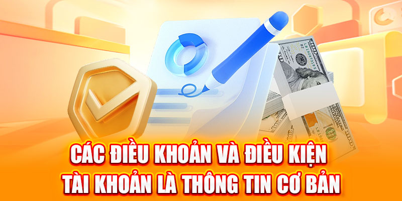 điều khoản và điều kiện