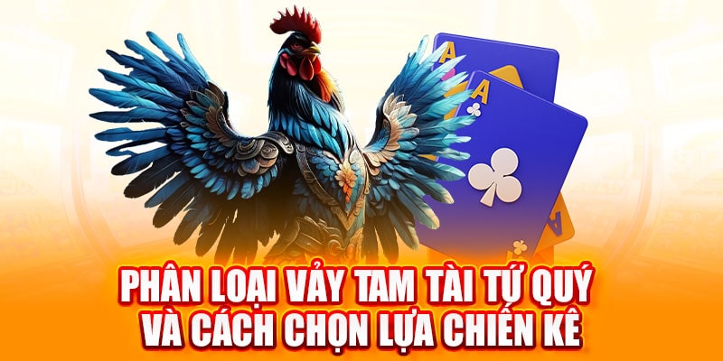 vảy gà tam tài