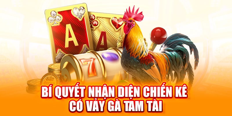 vảy gà tam tài