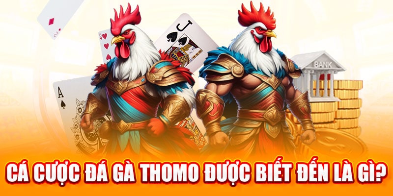 đá gà thomo