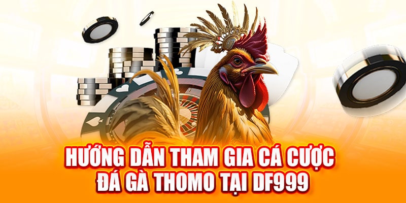 đá gà thomo